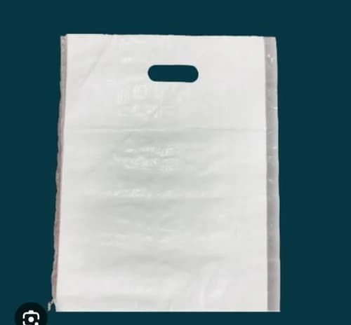 PP Woven Loop Handle Shopping Bags view 3